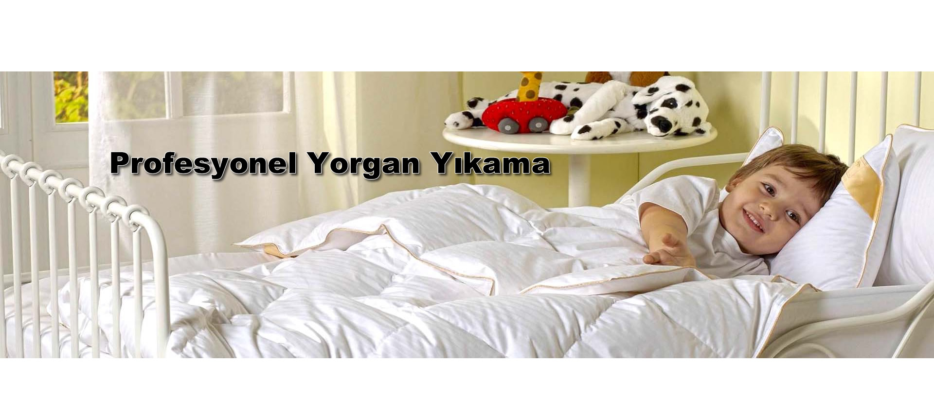 Berat Halı Yıkama